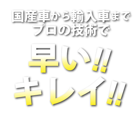 国産車から輸入車までプロの技術で早い!!キレイ!!